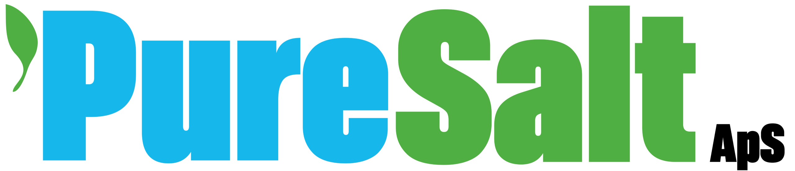 PureSalt Logo Lang